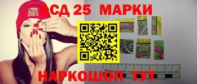 шишки Гатчина