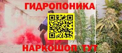 шишки Гатчина
