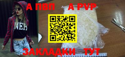 шишки Гатчина