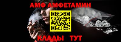шишки Гатчина