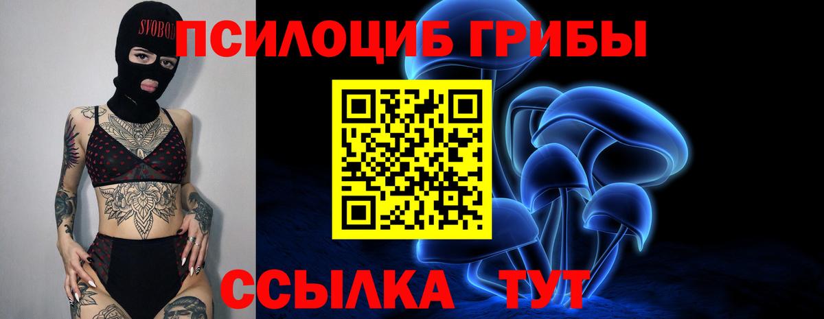 Псилоцибиновые грибы прущие грибы  Вход с VPN  закладки  Моздок  Псилоцибиновые грибы ЛСД 